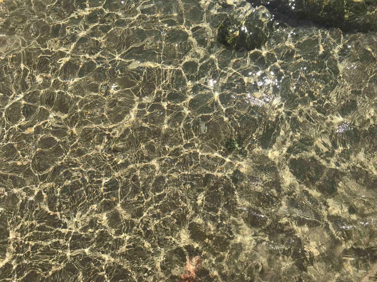 Villa Lucia Maruggio Εξωτερικό φωτογραφία
