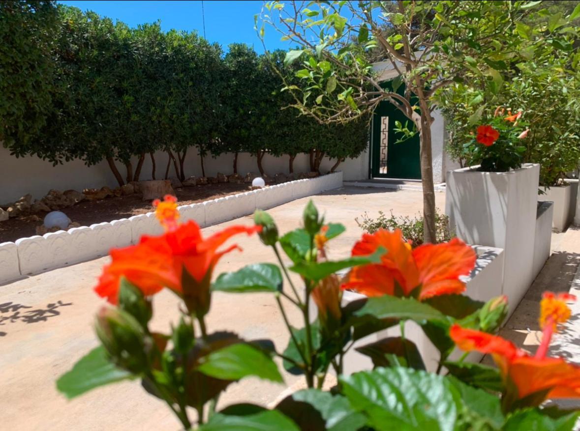 Villa Lucia Maruggio Εξωτερικό φωτογραφία